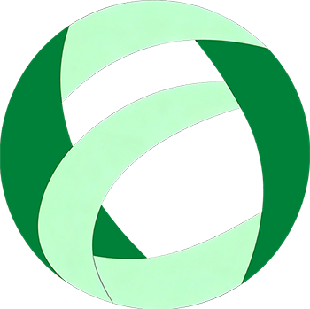 Hubei Reaction Technology Co., Ltd